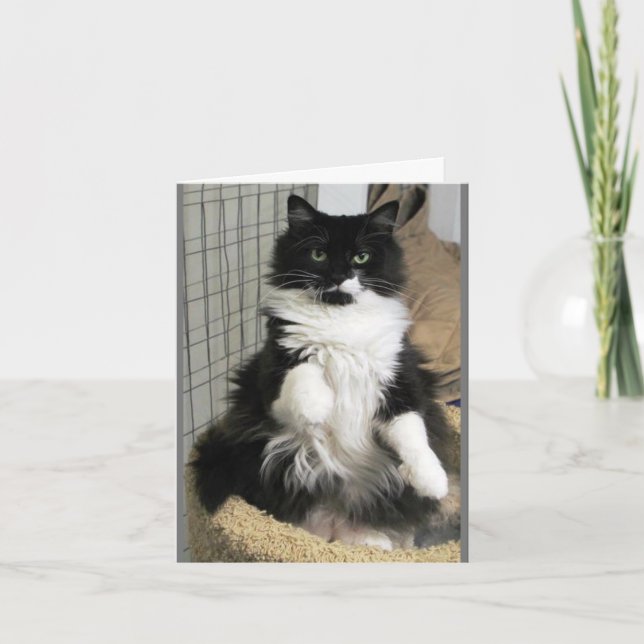 Extravagantes FireFect Feline Cat Foto entwickelt Karte (Vorderseite)