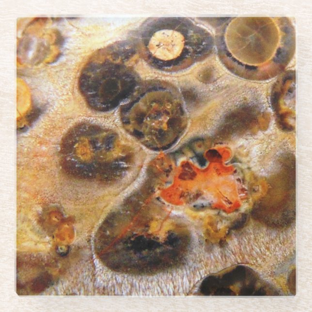 Extravagantes Leopard Skin Natural Rock Foto Glasuntersetzer (Vorderseite)