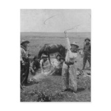 Extravagantes Roping