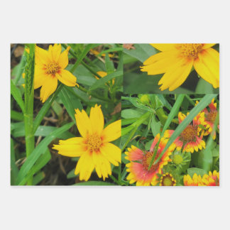 Extravagantes Set für Flurbandpapier mit einem Flä Geschenkpapier Set