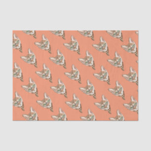 Extravagantes Sphynx Seidenpapier