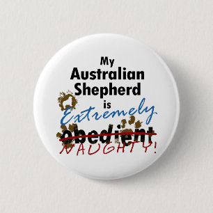 Extrem frecher australischer Schäfer Button