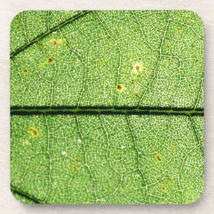 Extrem grünes Leaf Getränkeuntersetzer