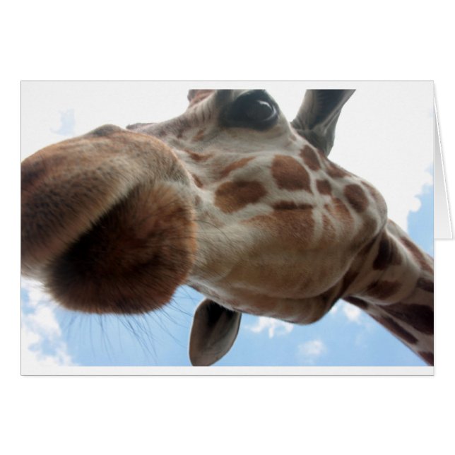 Extreme Giraffe (Vorderseite (Horizontal))