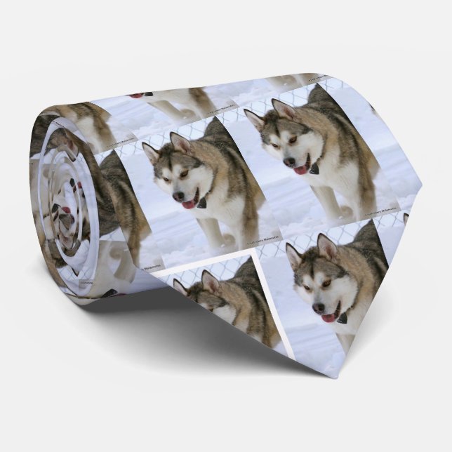 EXTREME **HUSKY** SCHÖNHEIT KRAWATTE (Gerollt)