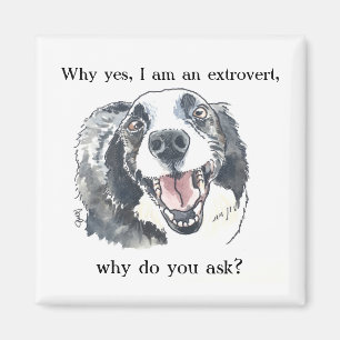 Extrovert-Stolz-Kühlschrankmagnet Magnet