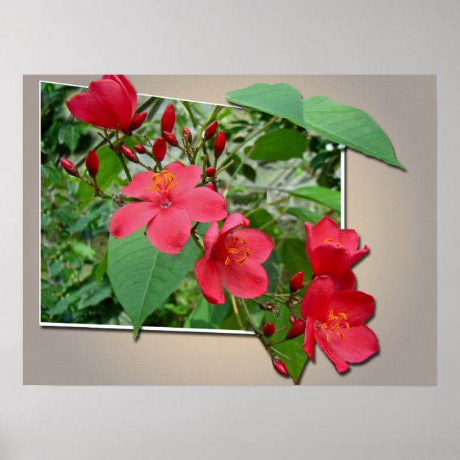 Exuberant Red Cascade Poster (Vorne)