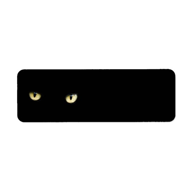 eye-218185 augen Katze schwarz starrgelb dunkel (Vorne)