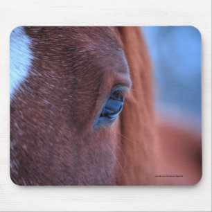 Eye of Chestnut Horse Equine Photo Mousepad