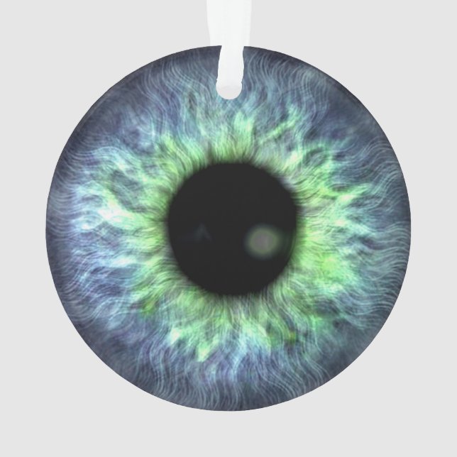 Eyeball Blue Green Gift Hübsch Ornament (Rückseite)
