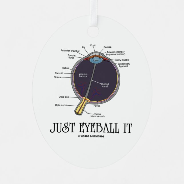 Eyeball It Human Eye Anatomy Geek Rat Ornament Aus Metall (Vorderseite)