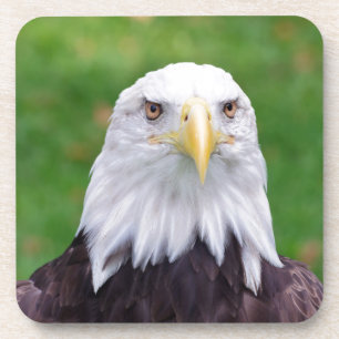 Eyes of a Bald Eagle Getränkeuntersetzer