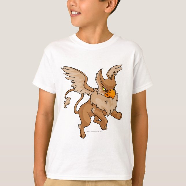 Eyrie Brown T-Shirt (Vorderseite)