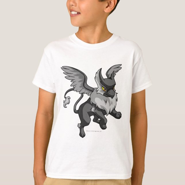 Eyrie Shadow T-Shirt (Vorderseite)