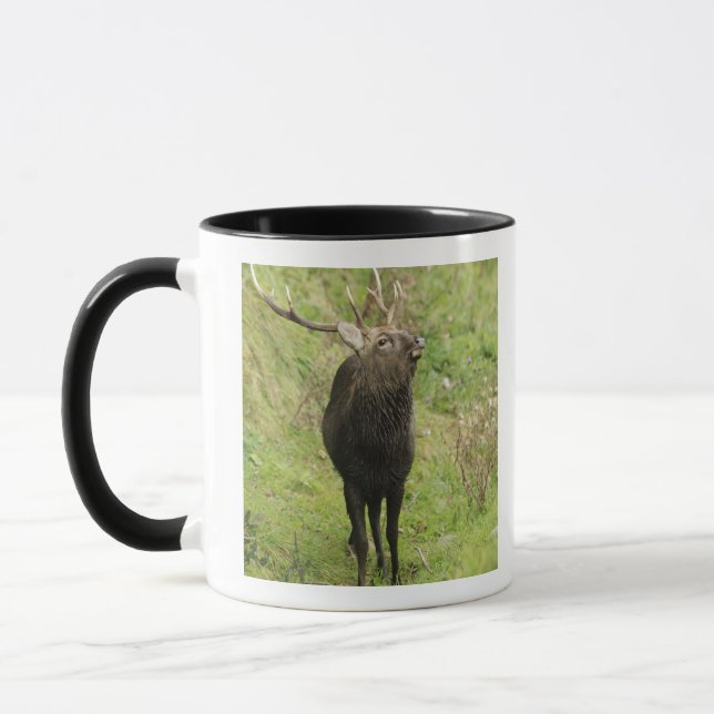 Ezo Rotwild Tasse (Links)