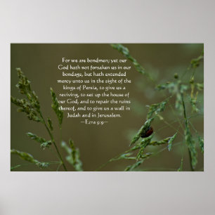 Ezra 9:9 poster