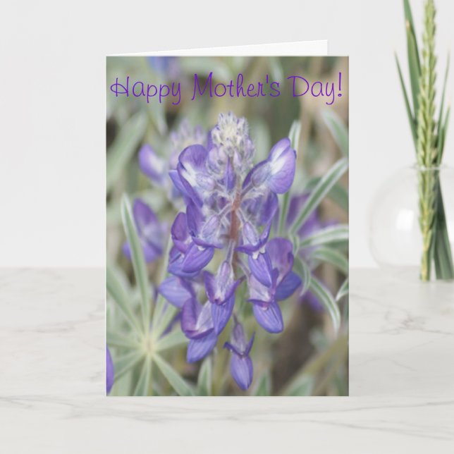 F0018 Lila Wildblumen Jährliche Lupine Karte (Vorderseite)