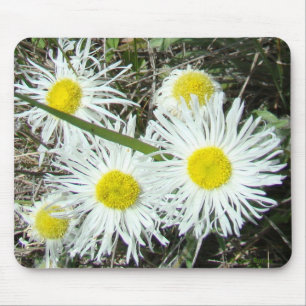 F10 Weiße Wildblumen Tufted Fleaban Mousepad