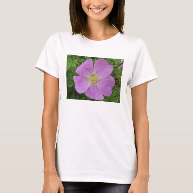F11 Rose "Rosa arkansana" T-Shirt (Vorderseite)