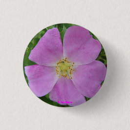 F11 wilde Rose "Rosa arkansana " des Grasland- Button