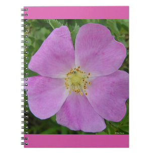 F11 Wilde Rose "Rosa arkansana" Notizblock