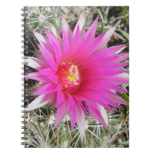 F12 Ball Cactus Blume "Escobaria vivipara" Notizblock
