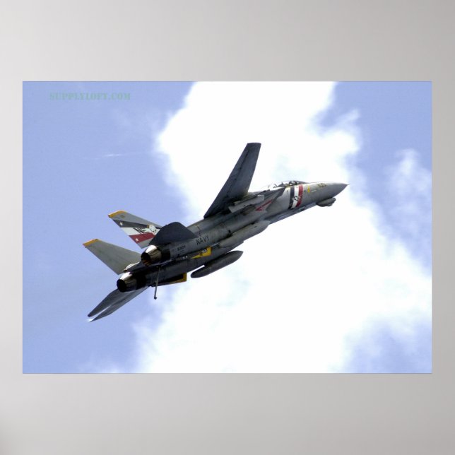 F14 Climbs Skyward Poster (Vorne)