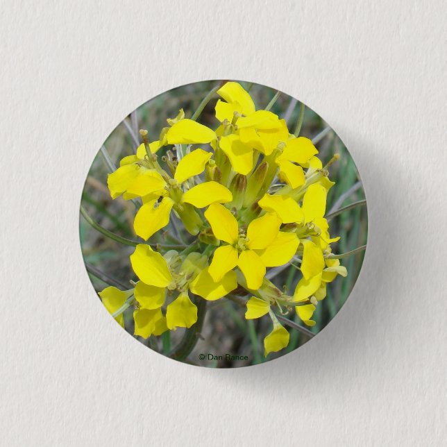 F14 Gelbe Wildblumen Button (Vorderseite)
