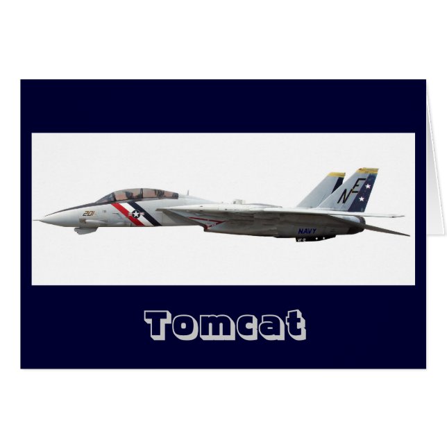 F14, Tomcat (Vorderseite (Horizontal))