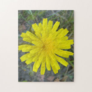 F16 Gelbe Wildblumen-King Devil