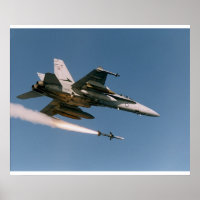F18 Feuerfestwickler