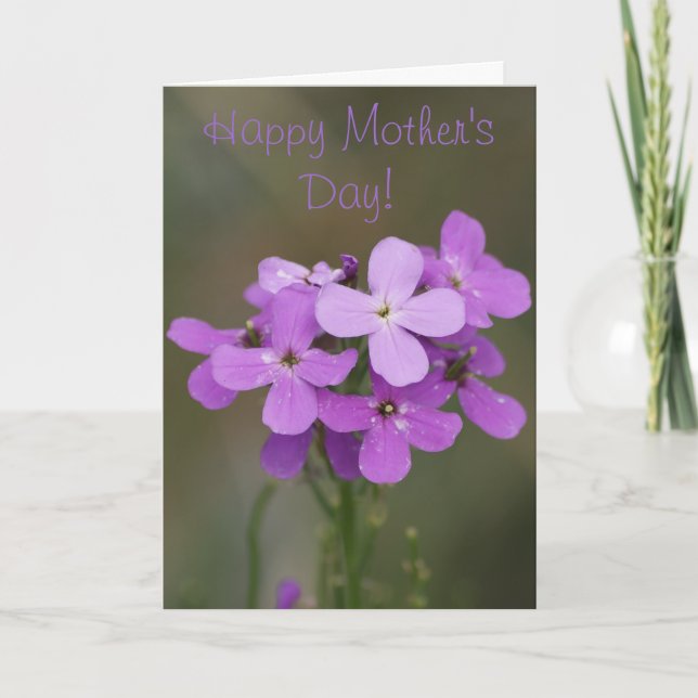 F19 Lila Wildblumen Dames Rocket Karte (Vorderseite)