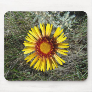 F1 Gelbe Wildblume Gaillardia Mousepad