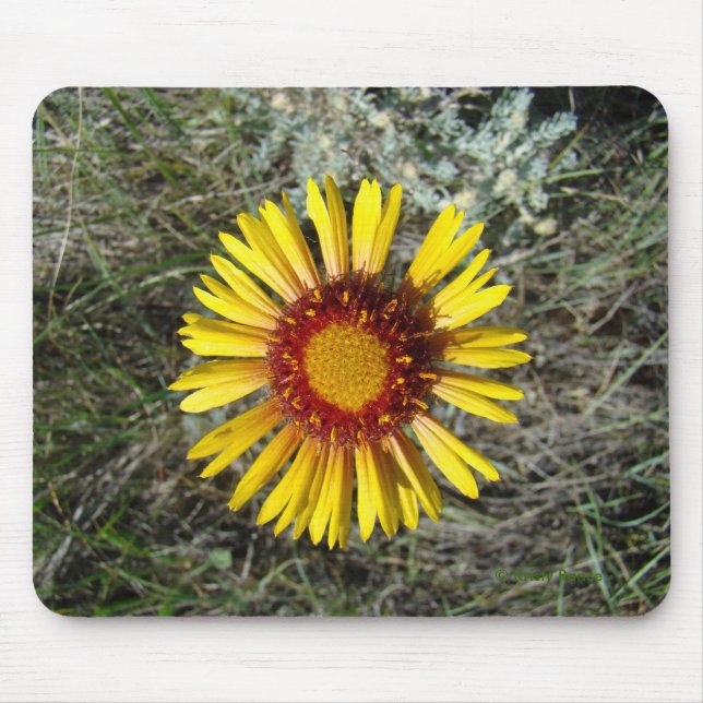 F1 Gelbe Wildblume Gaillardia Mousepad (Vorne)