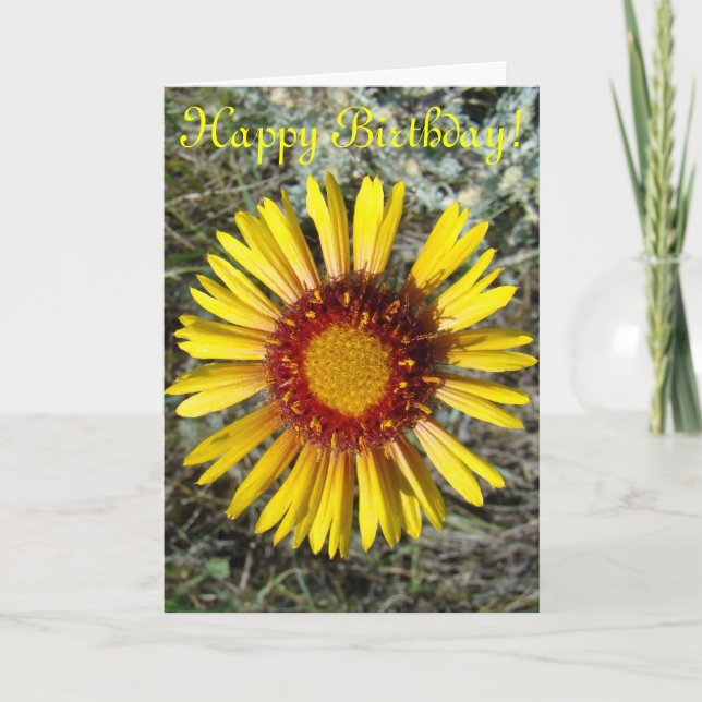 F1 Gelbe Wildblume Karte (Vorderseite)