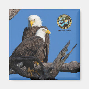 F23 & M15 - Eine neue Ära im Nest Magnet