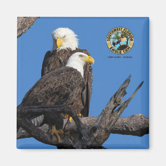 F23 & M15 - Eine neue Ära im Nest Magnet