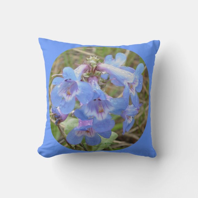 F28w Blaue Wildblumen schlanker Blauzunge Kissen (Vorderseite)