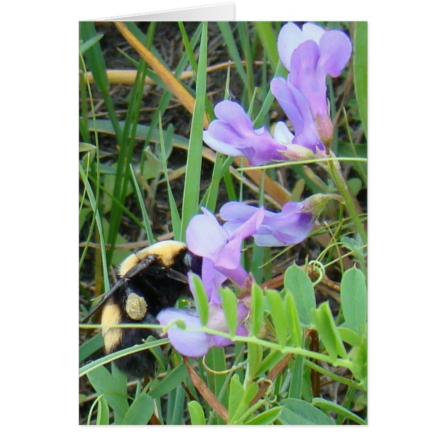 F2 Bee sur Fleurs sauvages violets (Devant)
