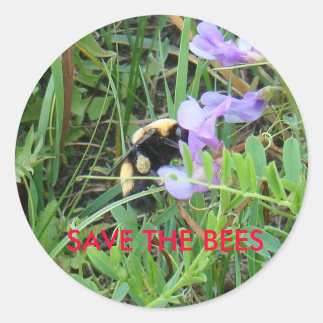 F2 Biene auf lila Wildblume Runder Aufkleber (Vorderseite)
