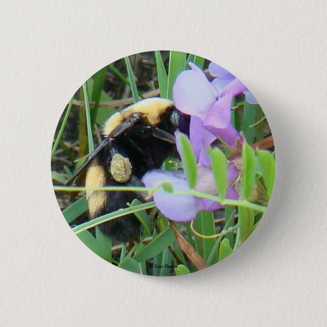 F2 Biene auf Lila Wildblumen Button (Vorderseite)