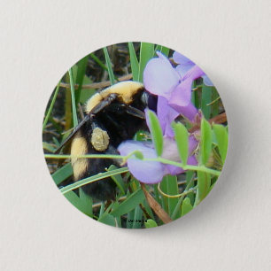 F2 Biene auf lila Wildblumen Button
