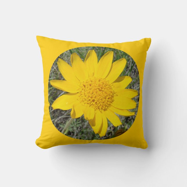 F34w Gelbe Wildblume Nizeweed Kissen (Vorderseite)