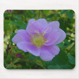 F37 Wilde Rose Mousepad