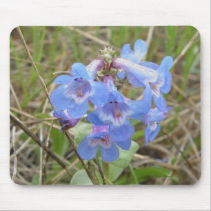F3 Blaue Wildblumen Schlanke Blaue Bartfaden Mousepad