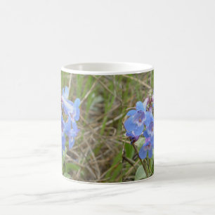 F3 Blaue Wildblumen schlanker Blauzungenkraut Kaffeetasse