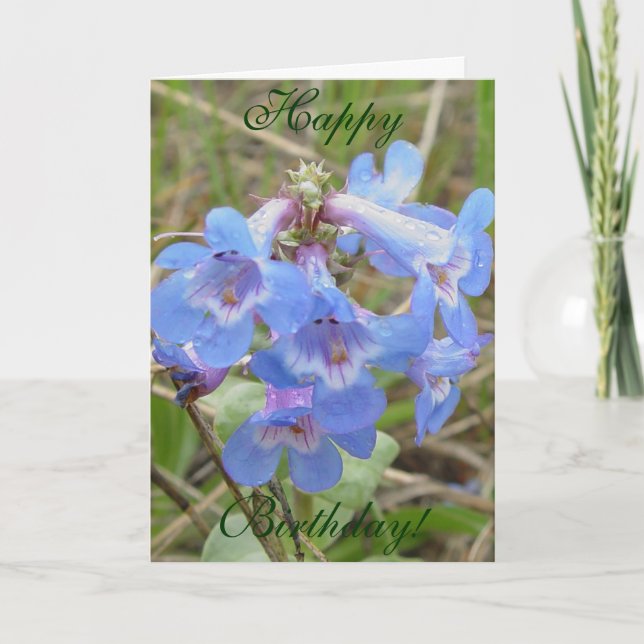 F3 Blaue Wildblumen schlanker Blauzungenkraut Karte (Vorderseite)