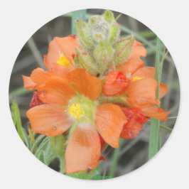 F40 Orangefarbene Wildblumen Runder Aufkleber