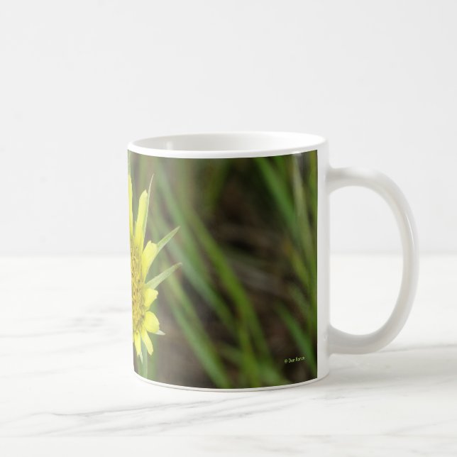 F41 Gelbe Wildblume Ziegenbart Kaffeetasse (Rechts)