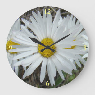 F42 Weiße Wildblumen glatter Aster Große Wanduhr